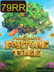 Descobrindo o Universo de ProsperityFortuneTree